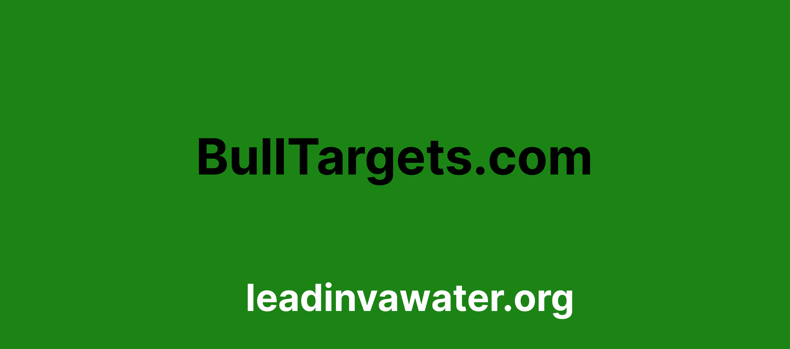 BullTargets.com review leadinvawater